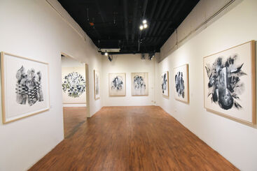 Misremembered but not Forgotten, installation view