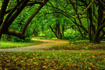 Nathanel Cox, ‘ Path’, 2022