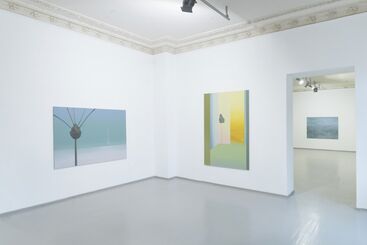 Linas Jusionis. Stacks, plants and plains, installation view