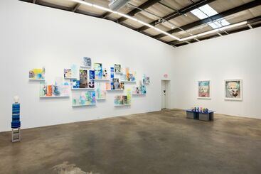 Rachel Livedalen: Capable Looking, installation view