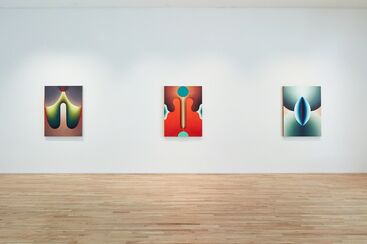 Loie Hollowell: Point of Entry, installation view