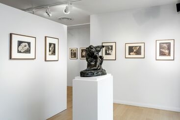 Auguste Rodin: The Photographs, installation view