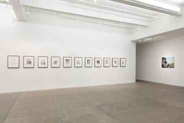 Triumph of Hate, installation view