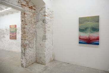Uncertain Geologies: the solo show by Stefano Cescon, installation view