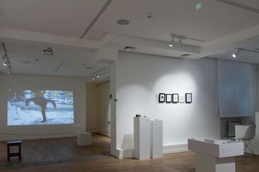 SUMMER SHOW: PART I  Transmimesis: empathy to ugliness, installation view