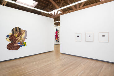Intersecting Selves, installation view