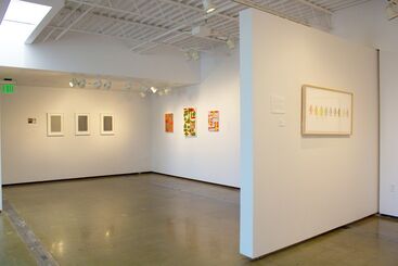 Color Coded, installation view