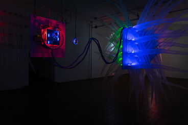 Incubate, installation view