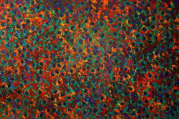 Pia Andersen, ‘Kakillallit’, 2018