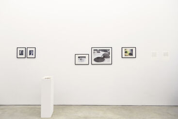 Searching for the Shapes Within, installation view