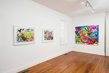 Canopy, installation view
