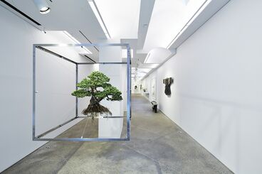 Capsule #5: Azuma Makoto, installation view