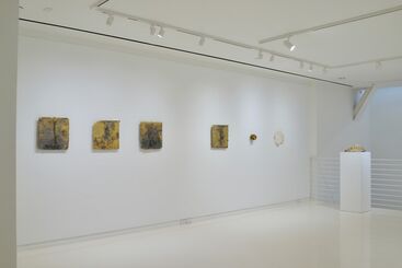 Microcosm & Macrocosm: Shinji Turner-Yamamoto, installation view