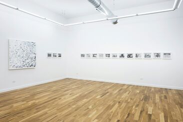 THIS SHIT IS FOR THE BIRDIES, installation view