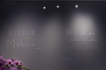 Möbius_ - Su Tsu-Han Solo Exhibition | 莫比烏斯_ - 蘇子涵 個展, installation view
