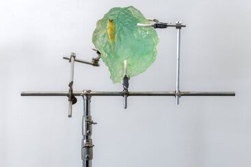 Daniella Dooling, ‘Canary in Blue’, 2021