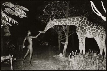 Peter Beard, ‘Beyond Gauguin Night Giraffe Feeding, Platinum Print - Framed’, 1998