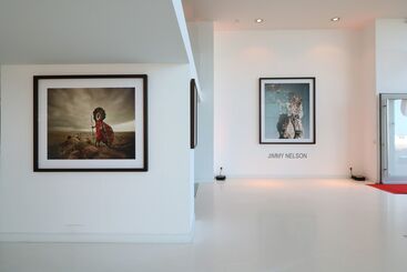 Before They Pass Away, installation view