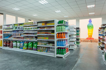 Xu Zhen: A MadeIn Company Production, installation view