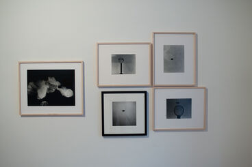 Harold Edgerton - Seeing the Unseen: Vintage Photography from Strobe Alley, installation view