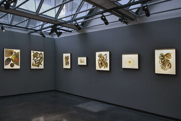 Irving Penn: Paintings, installation view