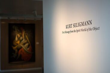 Kurt Seligmann - First Message from the Spirit World of the Object, installation view