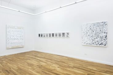 THIS SHIT IS FOR THE BIRDIES, installation view