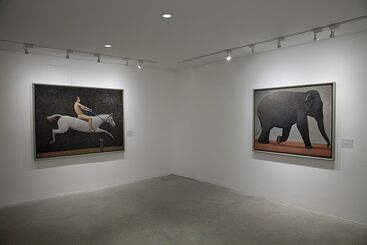 Andrew Nixon: The Attitudes of Animals in Motion, installation view