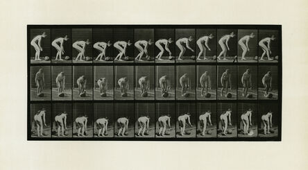 Eadweard Muybridge, ‘Animal Locomotion Plate 442’, 1887