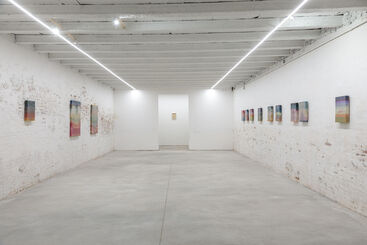 Uncertain Geologies: the solo show by Stefano Cescon, installation view