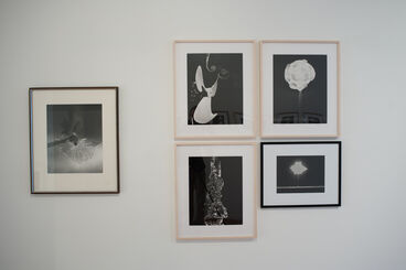 Harold Edgerton - Seeing the Unseen: Vintage Photography from Strobe Alley, installation view
