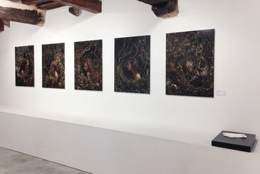 BEHIND THE VISIBLE, installation view