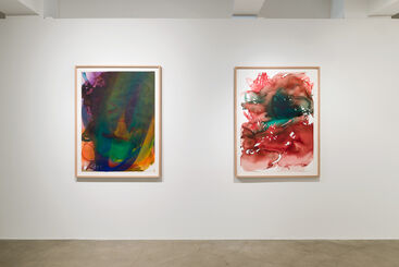 KATHARINA GROSSE | FROM THE FOAM'S FUDGED EDGE, installation view