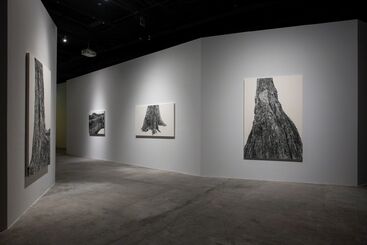 Root of Desire ─ Charwei Tsai solo exhibition, installation view