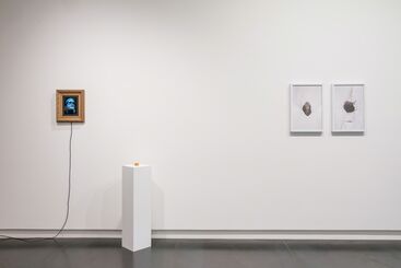 The Great Debate About Art, installation view
