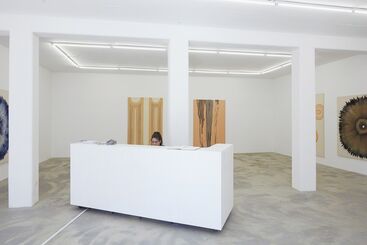 Fiona Mackay – Close to, installation view