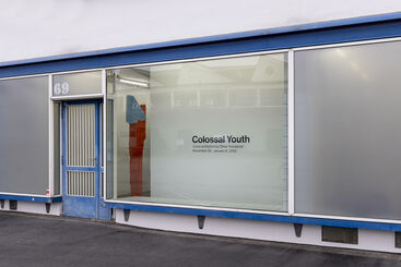 Colossal Youth, installation view