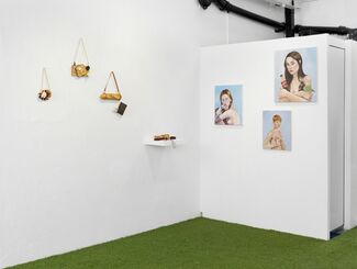 Chloe Wise - That's Something Else, My Sweet, installation view