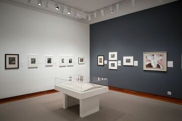 Ansel Adams to Edward Weston: Celebrating the Legacy of David H. McAlpin, installation view