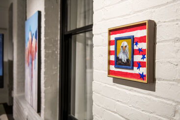 Show The Flag, installation view