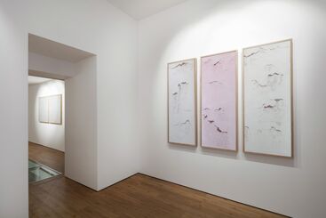 Powder and Light, installation view