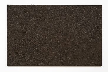 José Bento, ‘S.título’, 2015