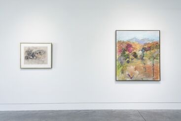 Drawing from Nature: Paintings and New Work by Mary Page Evans, installation view