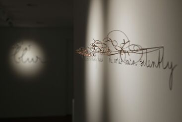 Fred Eerdekens - Allusions / Geneva, installation view