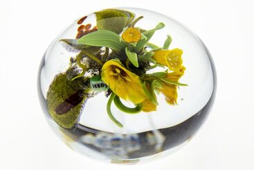 Paul Stankard, ‘Paperweight, Seeds yellow Lillys w/wildflowers & Bursting seed pod’, 1997