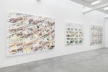 Tanya Goel: This, the Sublime, and its Double, installation view