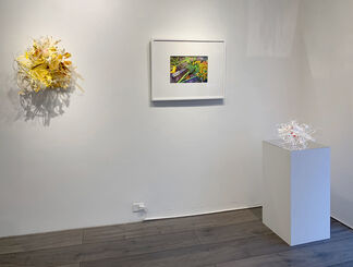 Remnant Romance, Environmental Works: Idelle Weber and Aurora Robson, installation view