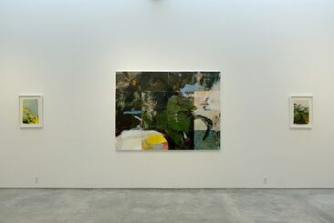 Hollis Heichemer: Happenstance, installation view