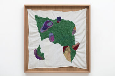 Brígida Baltar, ‘Os hematomas da planta ’, 2016