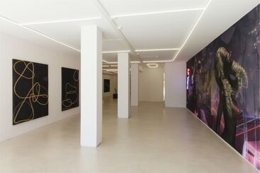 Two man show - Luis Gispert and Jacolby Satterwhite, installation view